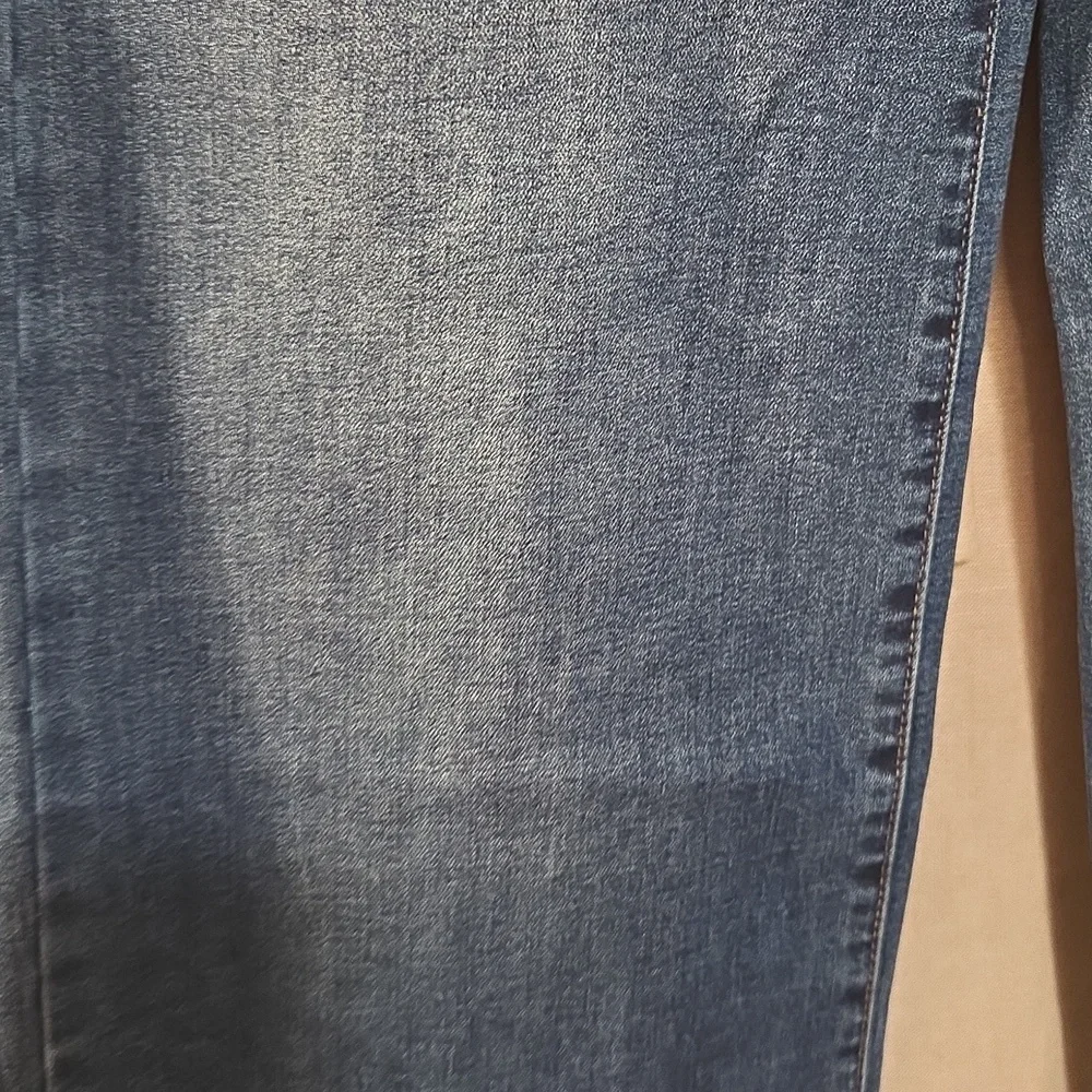 Project Indigo - Picture 4 of 6